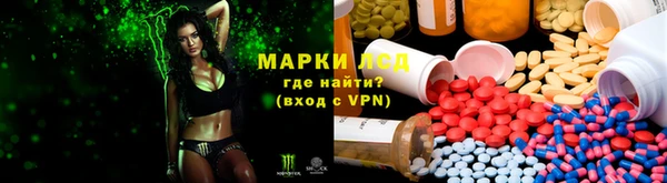 мет Алексин