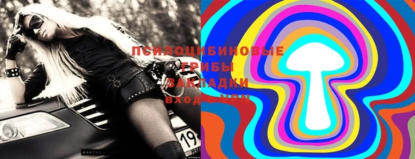 мет Алексин