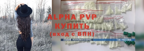 мет Алексин