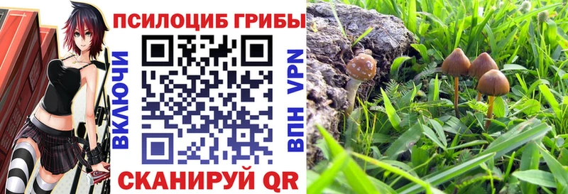 Псилоцибиновые грибы мухоморы  Александровск 
